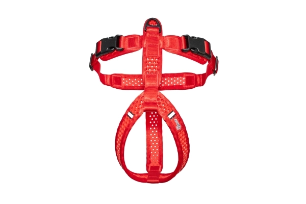 SOFTY Geschirr - Größe 7 - rot/rot